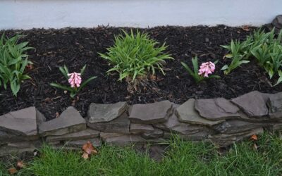 Wilfulness Wednesday