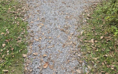 Know your “why” to tackle the Y